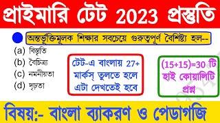 primary tet preparation 2023 | wb primary tet preparation 2023 | primary tet bengali pedagogy