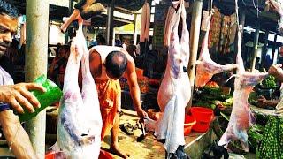 Amazing Full Goat Cutting Skill In Market. Best Goat Cutting And Cleaning In Bangladesh