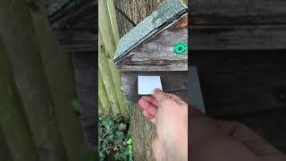 SIMPLE CREDIT CARD GADGET GEOCACHE! #Shorts