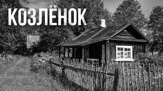 СТРАШНАЯ ИСТОРИЯ. Козлёнок #horrorstories #страшныеистории