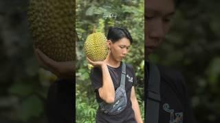 Bermalam lagi menjaga durian hutan tembawang #berburudurian #fruit #durianhutan #camping #buahhutan