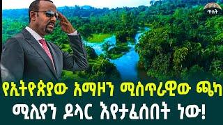 የኢትዮጵያው አማዞን ሚስጥራዊው ጫካሚሊየን ዶላር እየታፈሰበት ነው! August 21, 2024