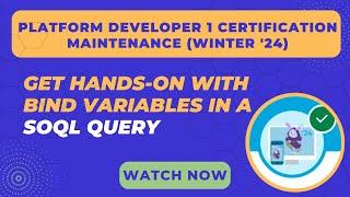 Salesforce Trailhead - Get Hands-on with Bind Variables in a SOQL Query