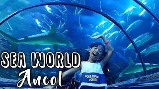 Aquarium Raksasa Bawah Laut | Sea World Ancol