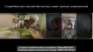 ШОК!!! Куда пропала настоящая гамадрил Люся?/ SHOCK!!! Where did the real baboon Lucy go? (Eng sub)