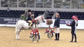 BSPS Championships 2021 Milton Pageboy & Indy