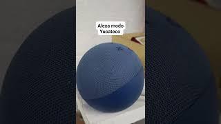 preguntas random a alexa #echodot #virals #reelfb #reelsfypシ #fypシ゚