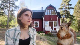 How I live in rural Sweden as a photographer (and baby squirrels!)