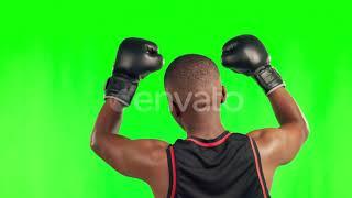 Sports, fitness and man with boxing gloves on green screen from the back to cel Video Footage Stock