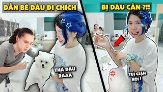 Mèo Simmy Bị Bé Dâu Cắn Sưng Tay Khi Đưa Bé Dâu Đi Chích Ngừa !!