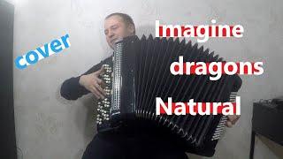 Imagine Dragons Natural on Accordion / Bayan