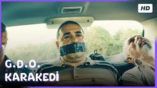 G.D.O. Karakedi | Şafak Sezer Full HD Türk Komedi Filmi