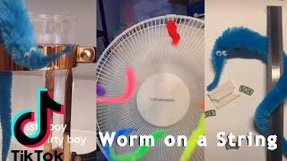 Worm On a String (Magic Worms) TikTok Compilation