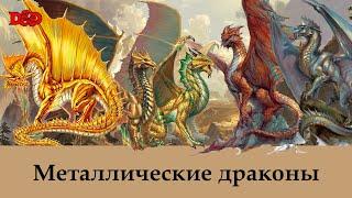 Кто такие металлические драконы? | D&D Lore