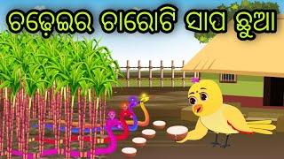 ଚଢ଼େଇର ଚାରୋଟି ସାପ ଛୁଆ | Chadheira  Sapa Chhua | Tiki Chadhei Gapa | Odia Chadhei Gapa | New Story