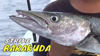 Serunya Battle Mancing Di Perairan Bali | MANCING MANIA STRIKE BACK (10/12/23) Part 1