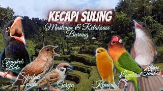 Kecapi Suling & Suara Air - Lovebird/Sikatan Londo/Kapas Tembak/Kenari/Tengkek Buto/Gereja