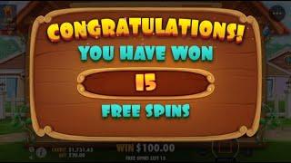 MEGA BIG WIN on High Stakes Dog House Bonus $20 BET SIZE!