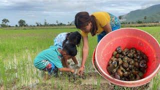 Pick snail with children take cooking " Fried snail recipe " - Cooking With Sreyda