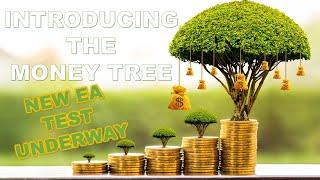 MONEY TREE ROBOT  THE TRADING ROBOT WITH OVER 90% WIN RATE - WE PUT IT TO THE TEST