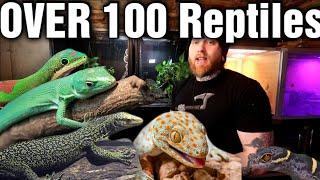 The Last Reptile Room Tour Of The Year! [Reptile Room Tour 2023]