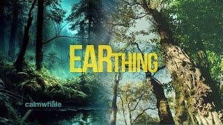 Sound Medicine Earthing Ceremony 417Hz + 963Hz Letting GO | Calm Whale