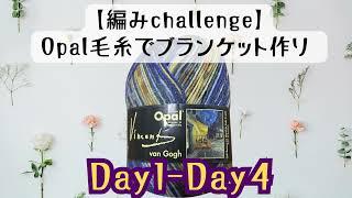 【編みchallenge】ブランケット作り第二弾 Opal毛糸ヴァン・ゴッホ/夜のカフェテラスで編みもの