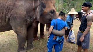 The Adventures of Star2 - Return to Thailand, 2024 - Part 3 (Elephants, Laos, and Zip Lining)