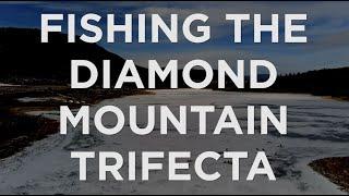 Fishing the Diamond Mountain Trifecta