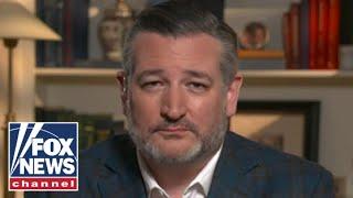 Ted Cruz: Republicans have turned this stereotype 'on its head'