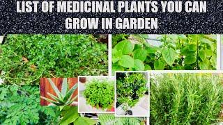 17 Most Powerful Medicinal Plants & Herbs