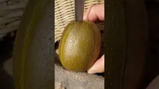 Farm Fresh Ninja Fruit | Tik Tok China | (Oddly Satisfying Fruit Ninja)