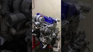 monster diesel indonesia(5)