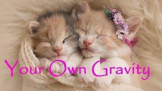 Your Own Gravity ~ Chill out mix ~  Easy Listening, Lo-Fi, Lounge ~ Listen and relax