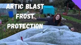 Protecting Plants from Arctic Blast Made Easy