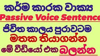 passive voice in sinhala, English grammar #rohangunasekara #sri lanka