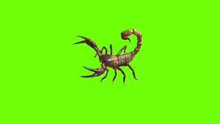 Jumping scorpion green screen।cartoon green screen।scorpion green screen।ostad animation