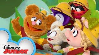 Backyard Safari | Muppet Babies | @disneyjr