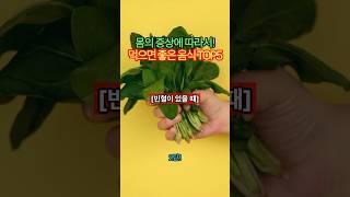 몸의 증상별로 먹으면 좋은 음식 TOP5 (2)