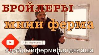 Выращивание и содержание бройлера в домашних условиях, бизнес на бройлерах кобб 500, мини ферма дома