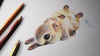 Colored Pencil Drawing Sketching Time-Lapse || Bunny || NanZhi 南之