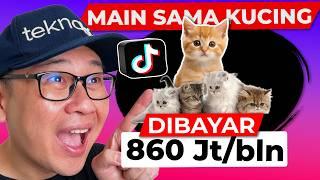 860 Jt sebulan Main sama KUCING PELIHARAAN di Tiktok dibayar tiap hari