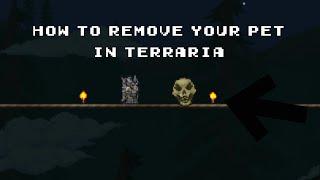 How to remove your pet in Terraria