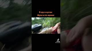 супер какахи супер суса #shorts #короткиевидео #youtube #тикток #суперсус #сусанин #сус