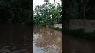 Endonezya da evi sel suyu bastı Java adası yağmur sularına teslim oldu!