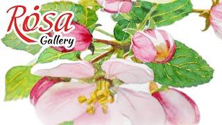 Rosa Gallery Botanical Watercolor Paints REVIEW