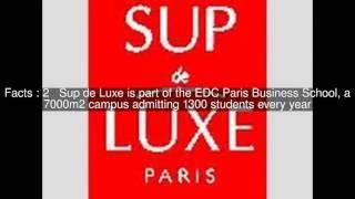 Institut Supérieur de Marketing du Luxe (Sup de Luxe) Top  #5 Facts