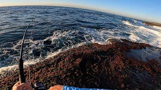 Catching fresh sashimi from the rocks in Sydney Australia - Catch and Cook - Bugsy Fishing Ep 26 4K