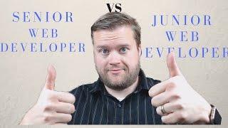 Senior Programmers vs Junior Programmers and Q&A