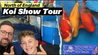 The Ultimate North England Koi Show Experience #koi #koipond #fish